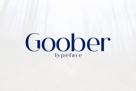 Goober Font for Modern Editorial Design